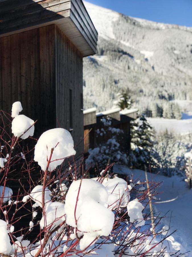 Chalet Sternwarte Hohentauern Eksteriør bilde